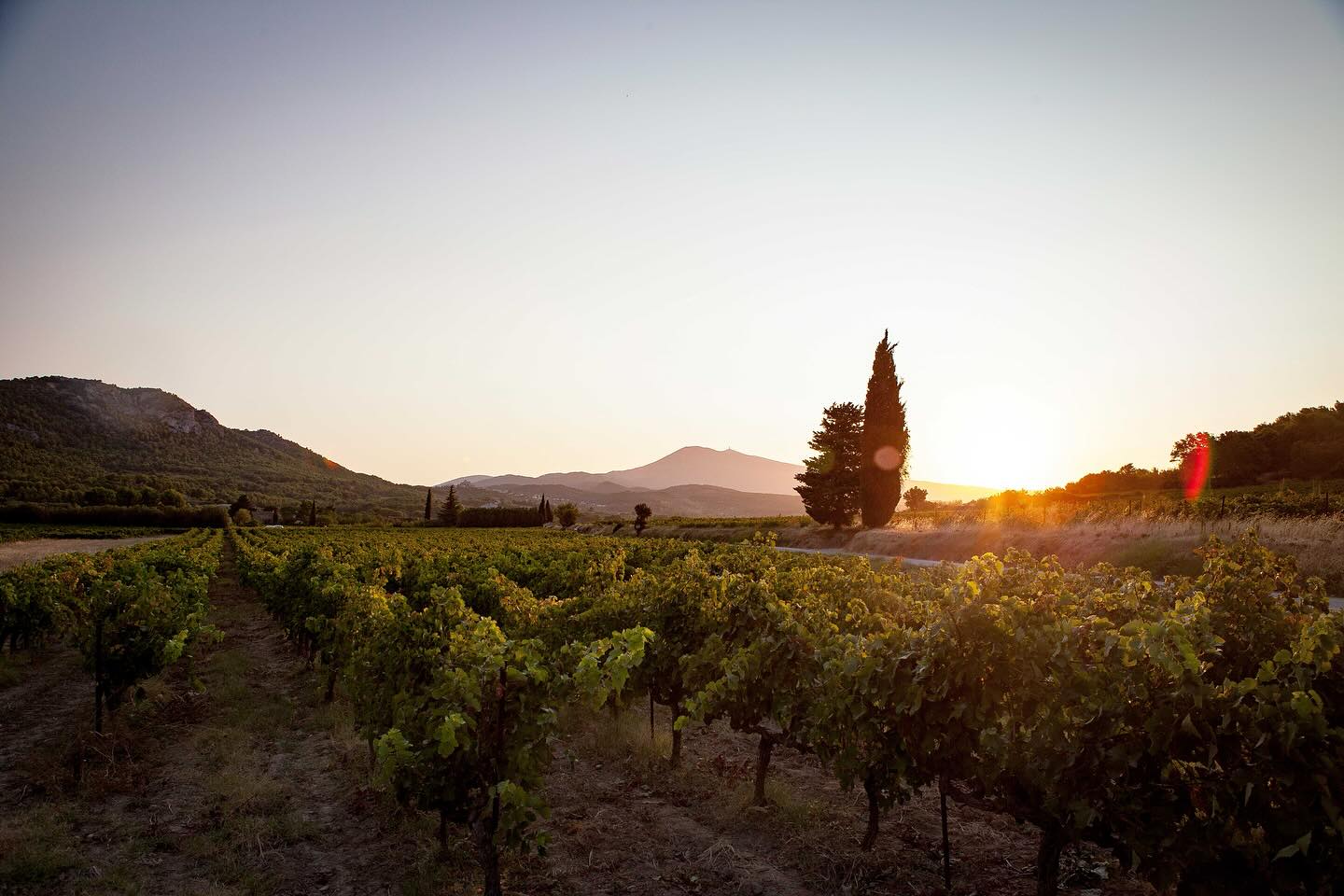 Domaine Raboly – Beaumes-de-Venise